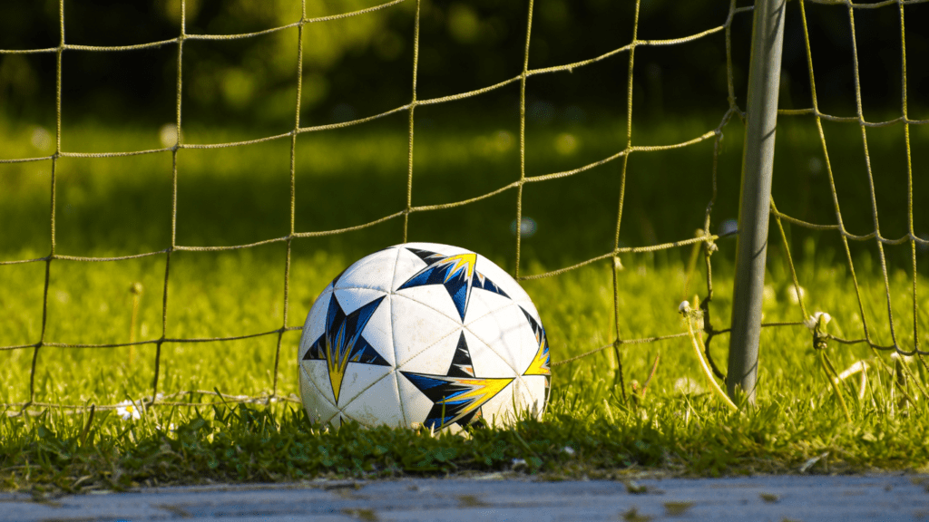 a soccer ball sits in front of a net