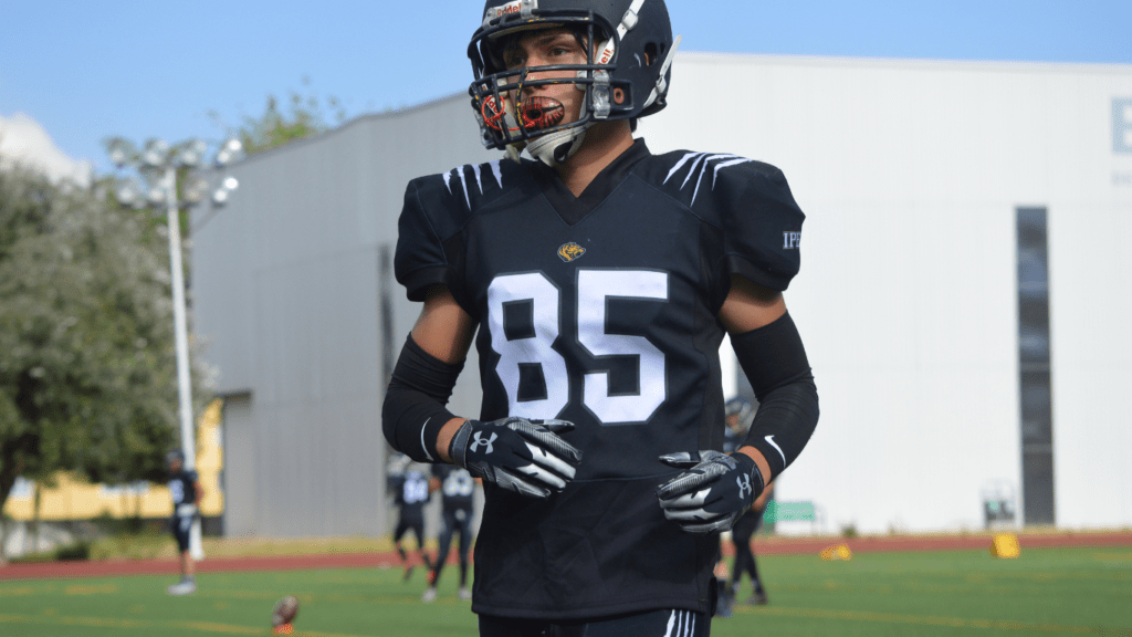 image of a football player in the field