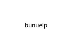 bunuelp
