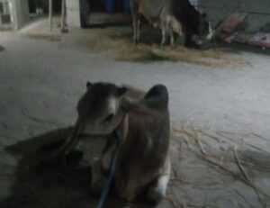 3jwfytfrpktctirc3kb7bwk7hnxnhyhlsg