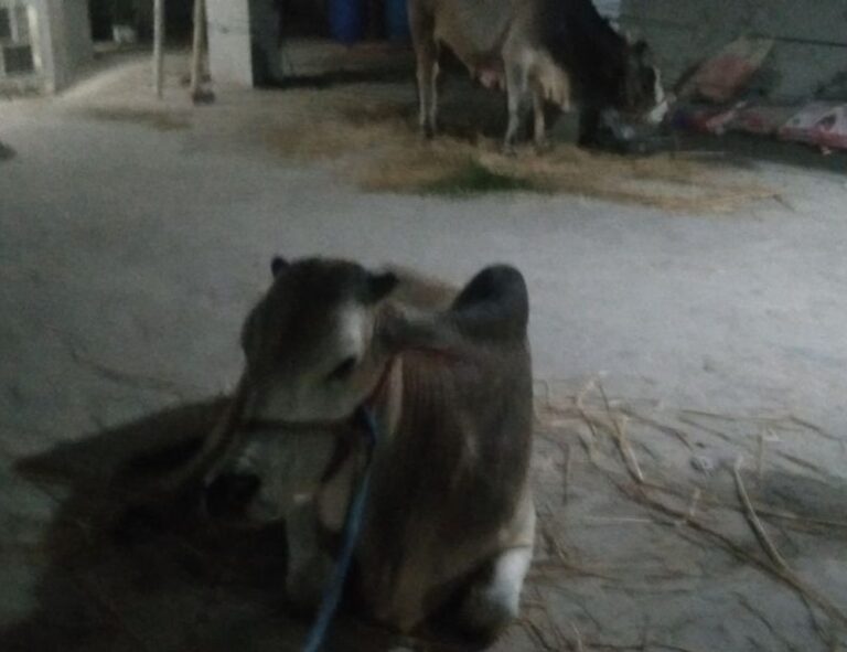 3jwfytfrpktctirc3kb7bwk7hnxnhyhlsg