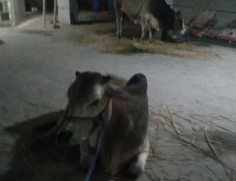 3jwfytfrpktctirc3kb7bwk7hnxnhyhlsg