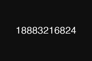 18883216824