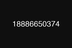 18886650374