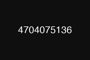 4704075136