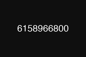 6158966800
