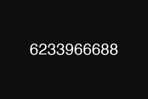 6233966688