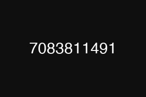 7083811491