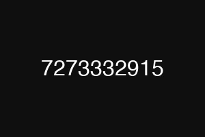 7273332915