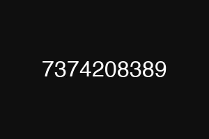 7374208389