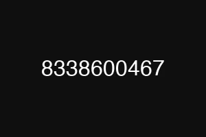 8338600467