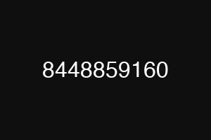 8448859160