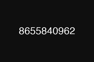 8655840962
