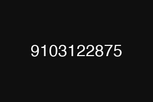 9103122875