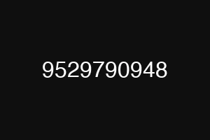 9529790948