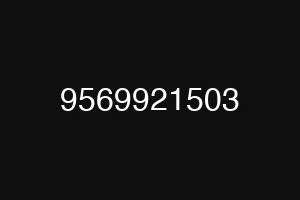 9569921503