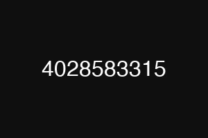 4028583315