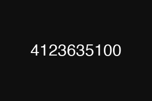 4123635100