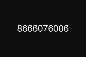 8666076006