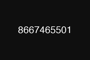 8667465501